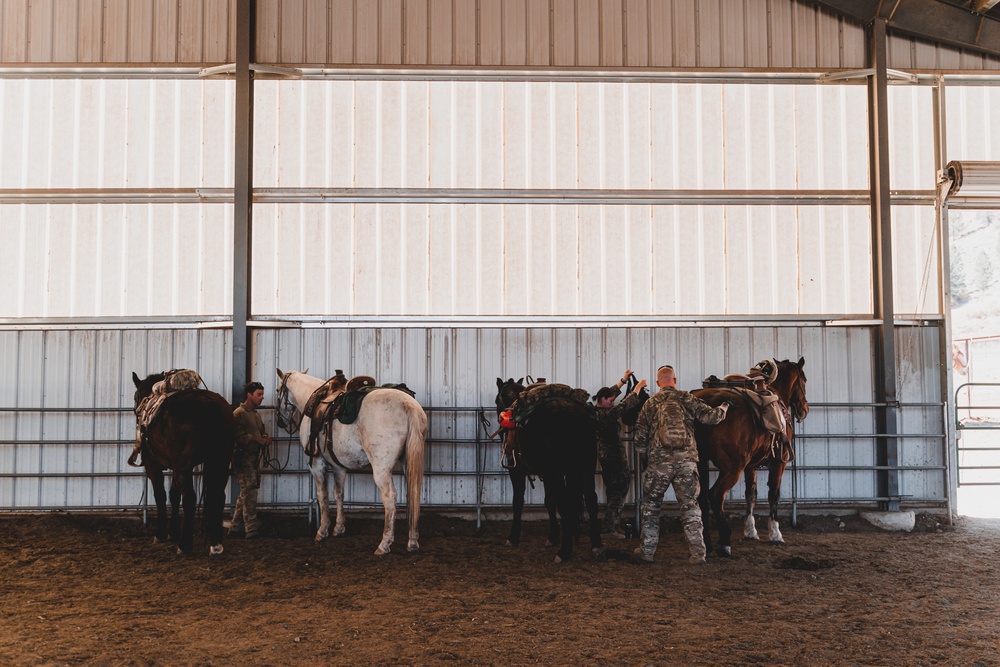 SOF Horsemanship