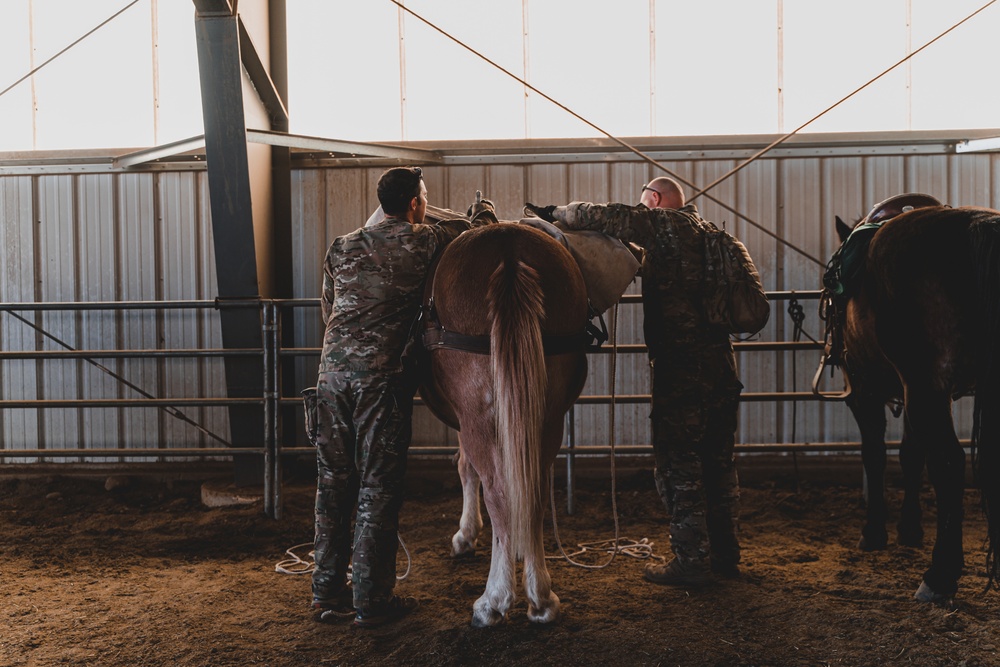 SOF Horsemanship