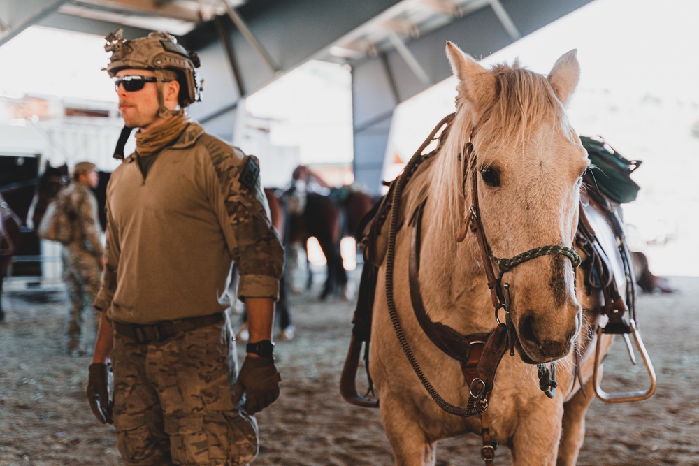 SOF Horsemanship