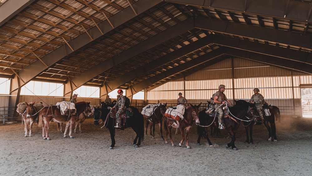 SOF Horsemanship