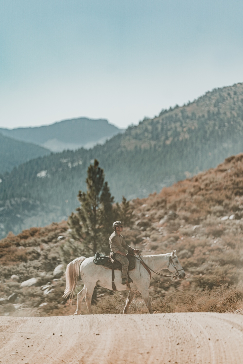 SOF Horsemanship