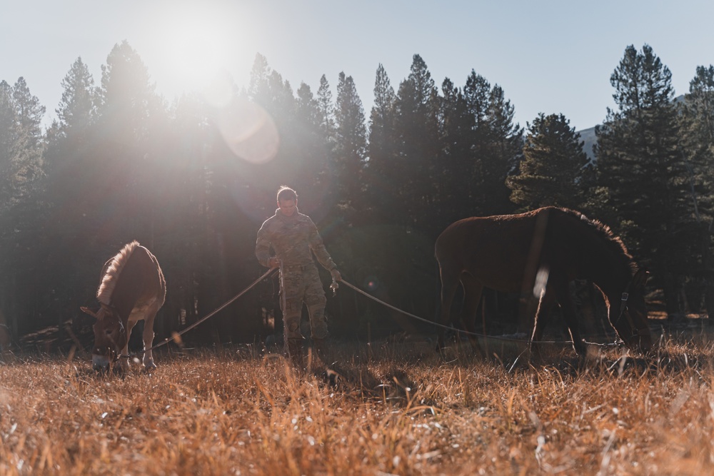 SOF Horsemanship