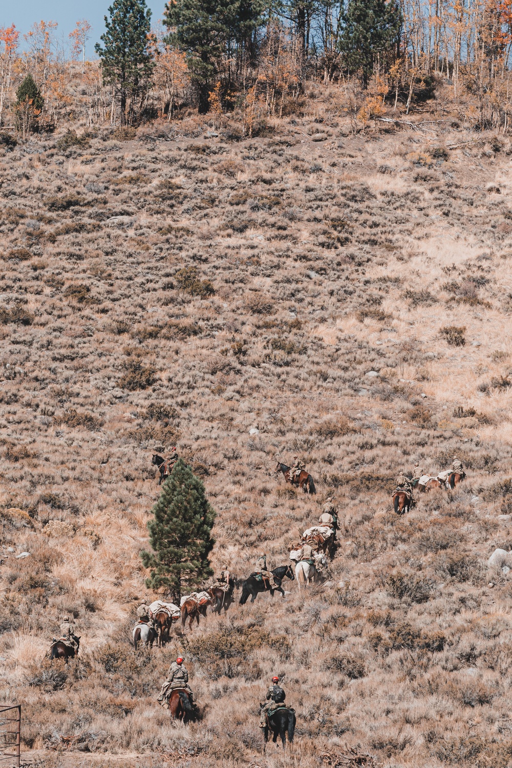 SOF Horsemanship