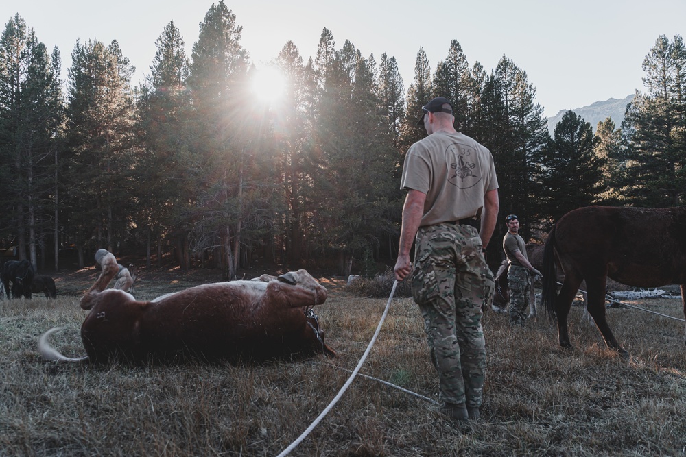 SOF Horsemanship