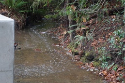 Navy completes culvert project at Manchester Fuel Depot