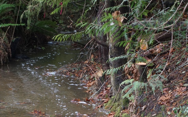 Navy completes culvert project at Manchester Fuel Depot