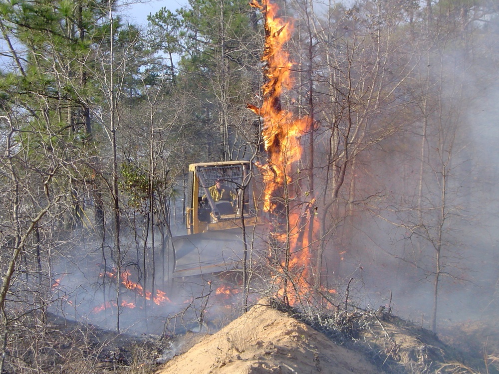 Fires set in woods, controlled by experts, aid combat training, health of plants, wildlife