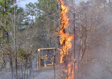 Fires set in woods, controlled by experts, aid combat training, health of plants, wildlife