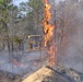 Fires set in woods, controlled by experts, aid combat training, health of plants, wildlife