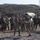 U.S. Army Soldiers participate in the French Desert Commando Course
