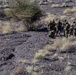 CJTF-HOA joins French for desert training