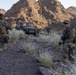 CJTF-HOA joins French for desert training