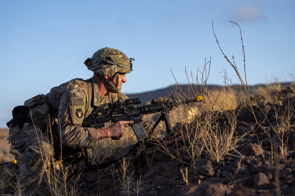 CJTF-HOA joins French for desert training