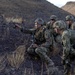 CJTF-HOA joins French for desert training