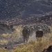 CJTF-HOA joins French for desert training