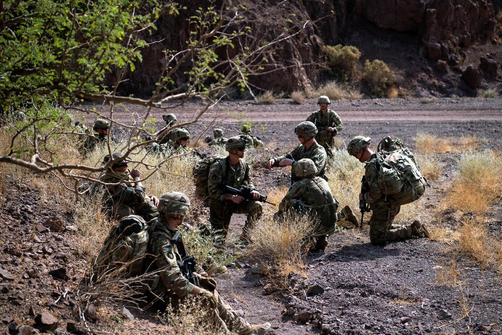 CJTF-HOA joins French for desert training