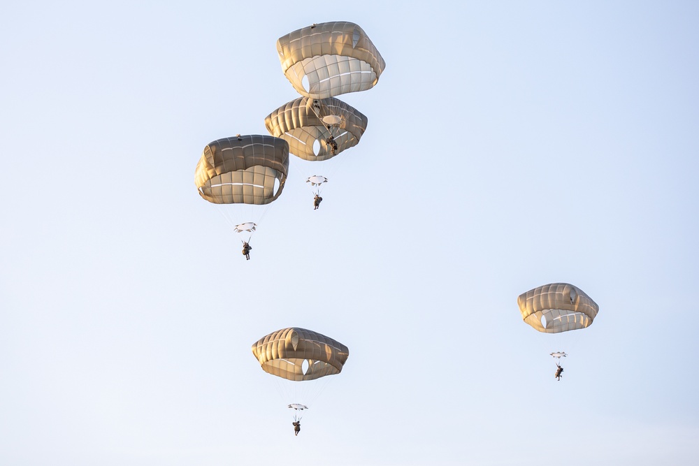 Paratroopers