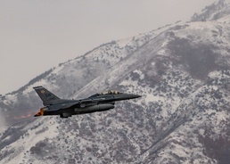 Team Shaw hammers down at Combat Hammer