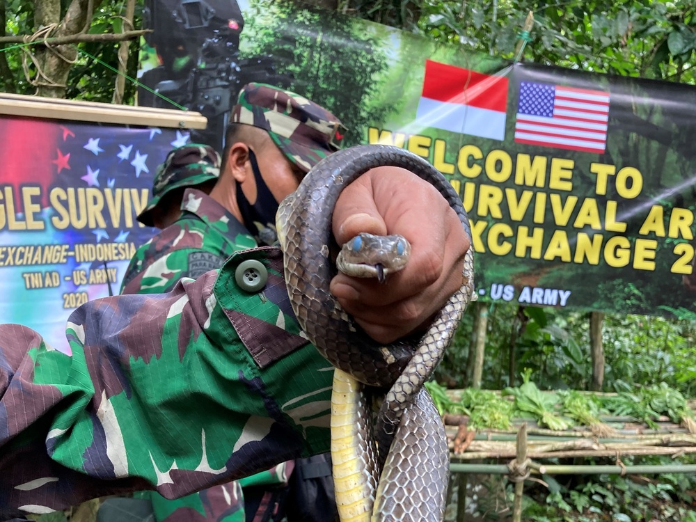 Indonesia Platoon Exchange: Jungle Survival in Indonesia