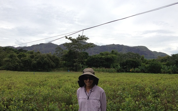 ERDC scientist creates algorithm to distinguish the forest from the trees