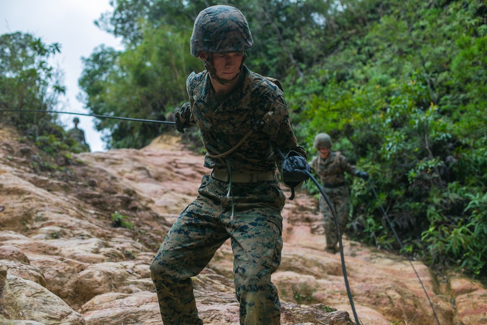 3d Marine Division Marines Execute Basic Jungle Skills Course