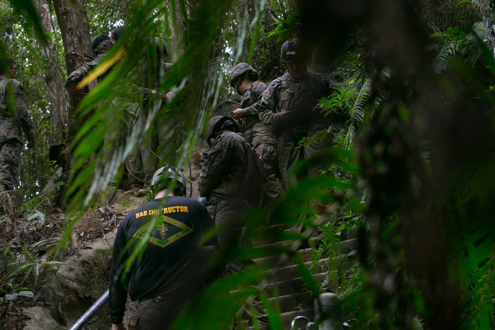 3d Marine Division Marines Execute Basic Jungle Skills Course