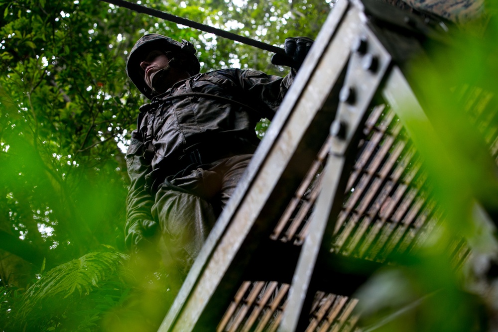 3d Marine Division Marines Execute Basic Jungle Skills Course