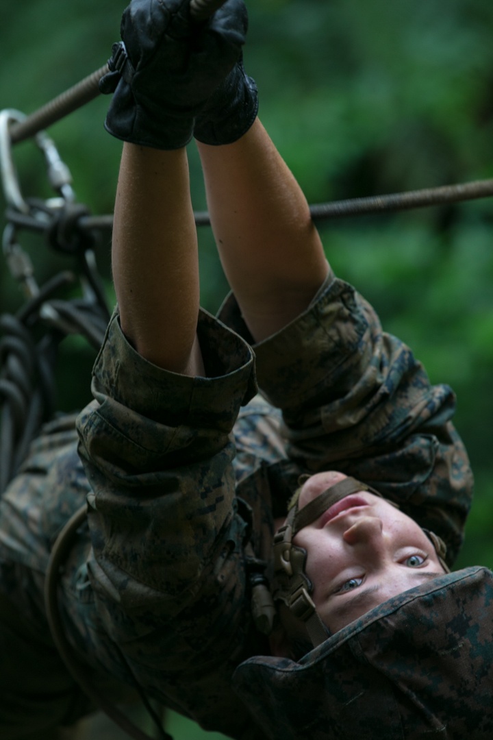 3d Marine Division Marines Execute Basic Jungle Skills Course