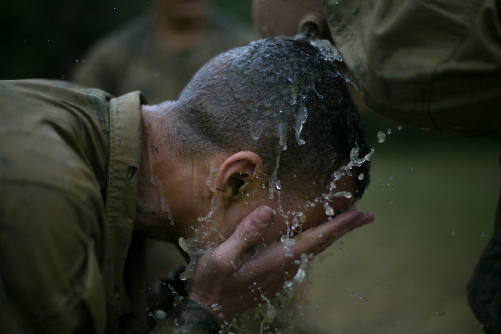 3d Marine Division Marines Execute Basic Jungle Skills Course