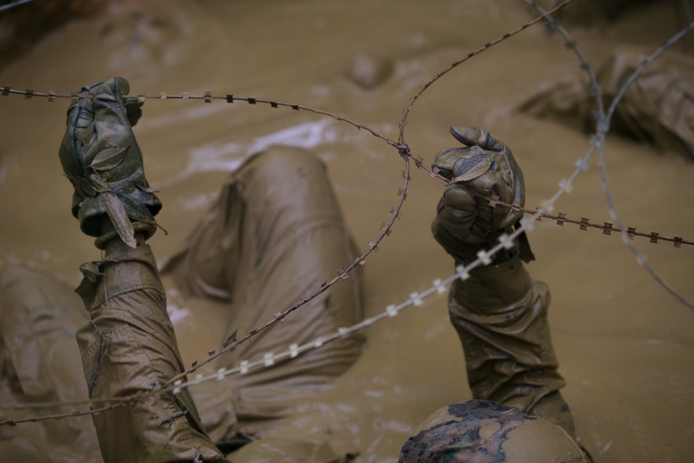 3d Marine Division Marines Execute Basic Jungle Skills Course