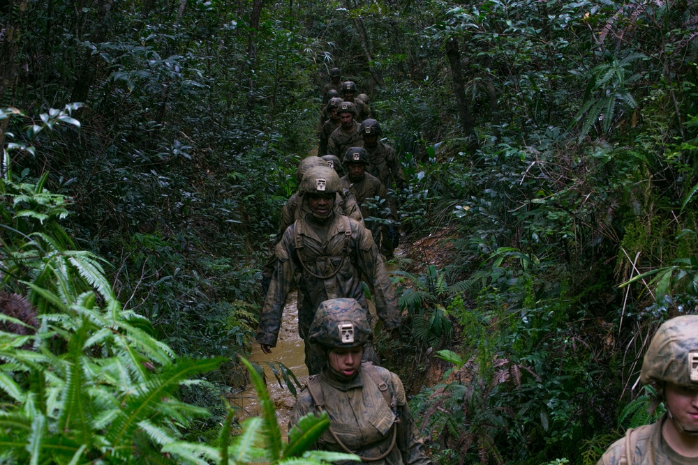 DVIDS - Images - 3d Marine Division Marines Execute Basic Jungle Skills ...