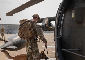 Air Force K-9 Teams Train With Army Veterinarians and Flight Medics