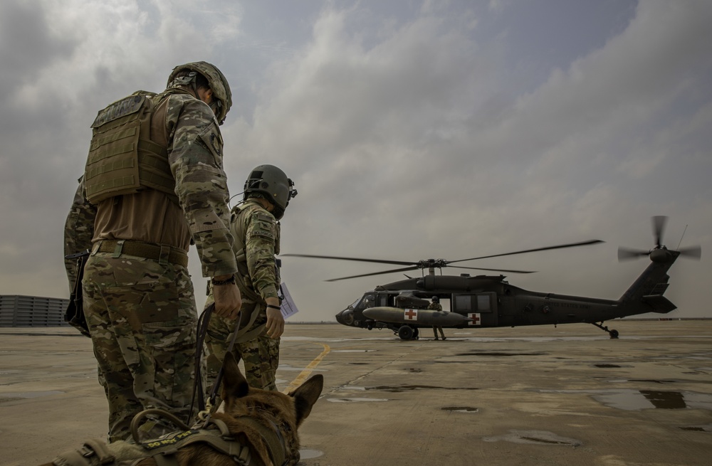 U.S Army • Flight Paramedics & Veterinarians Train with K9 Teams’