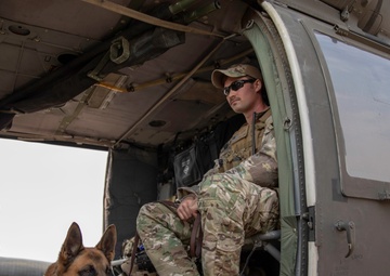 Air Force K-9 Teams Train With Army Veterinarians and Flight Medics
