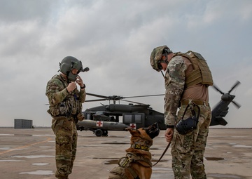 Air Force K-9 Teams Train With Army Veterinarians and Flight Medics