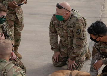 Air Force K-9 Teams Train With Army Veterinarians and Flight Medics
