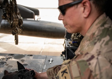 Air Force K-9 Teams Train With Army Veterinarians and Flight Medics