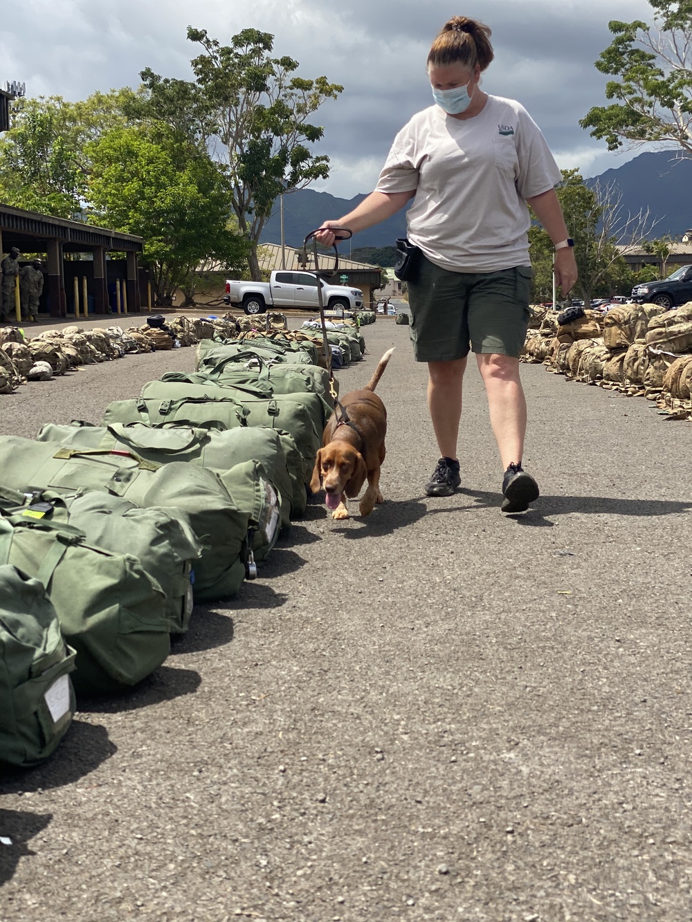 402nd Army Field Support Battalion-Hawaii executes no-notice deployment to JRTC for annual training