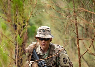 Indonesia Platoon Exchange 2020: Dismounted Maneuver Lanes