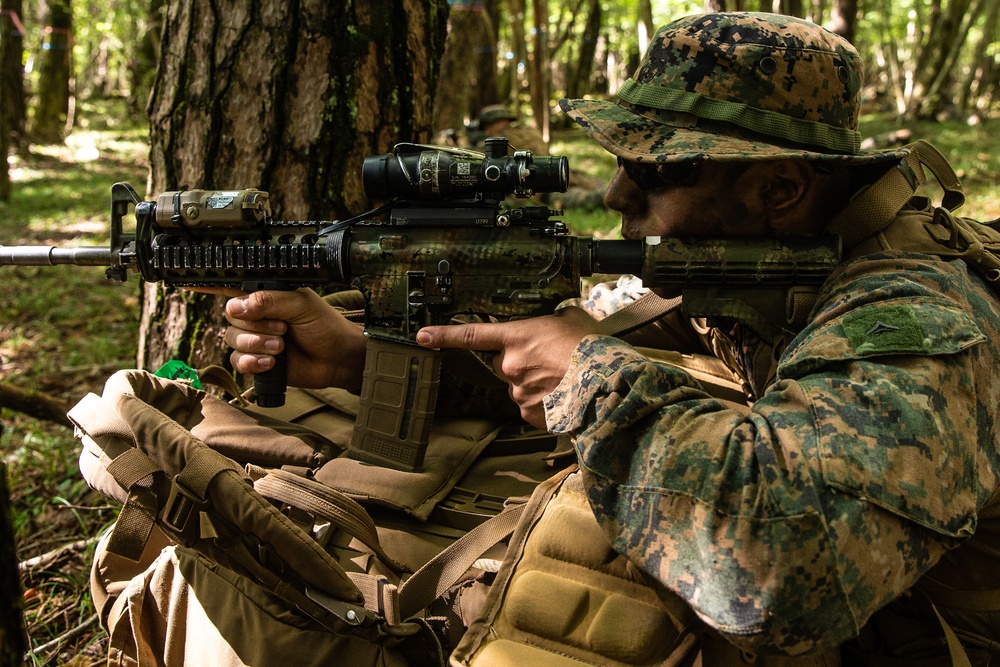 U.S. Marines participate in a company force-on-force event during exercise Fuji Viper 21.1