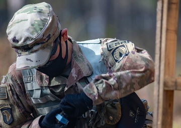 Experts are made from professionals