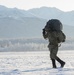 Soldiers, Airmen jump onto a frozen drop zone