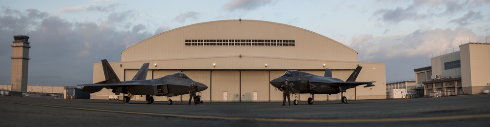 Raptors and Lightning