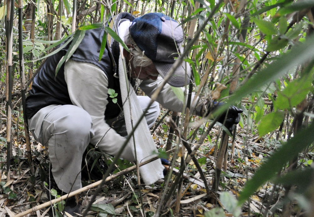USAG Japan commander, spouse, cut bamboo for giant kites