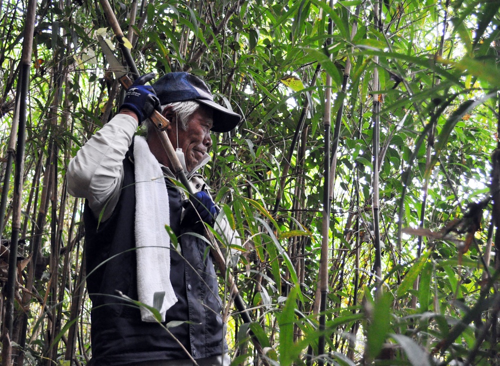 USAG Japan commander, spouse, cut bamboo for giant kites