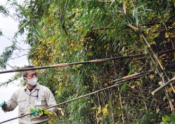 USAG Japan commander, spouse, cut bamboo for giant kites