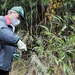 USAG Japan commander, spouse, cut bamboo for giant kites
