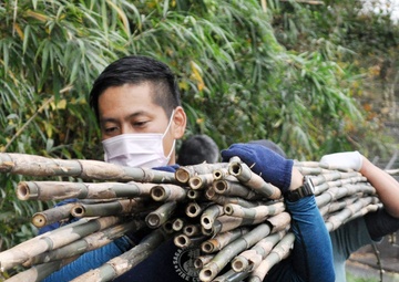 USAG Japan commander, spouse, cut bamboo for giant kites