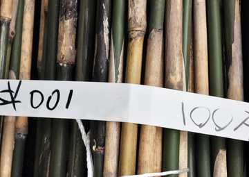 USAG Japan commander, spouse, cut bamboo for giant kites