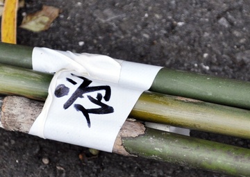 USAG Japan commander, spouse, cut bamboo for giant kites